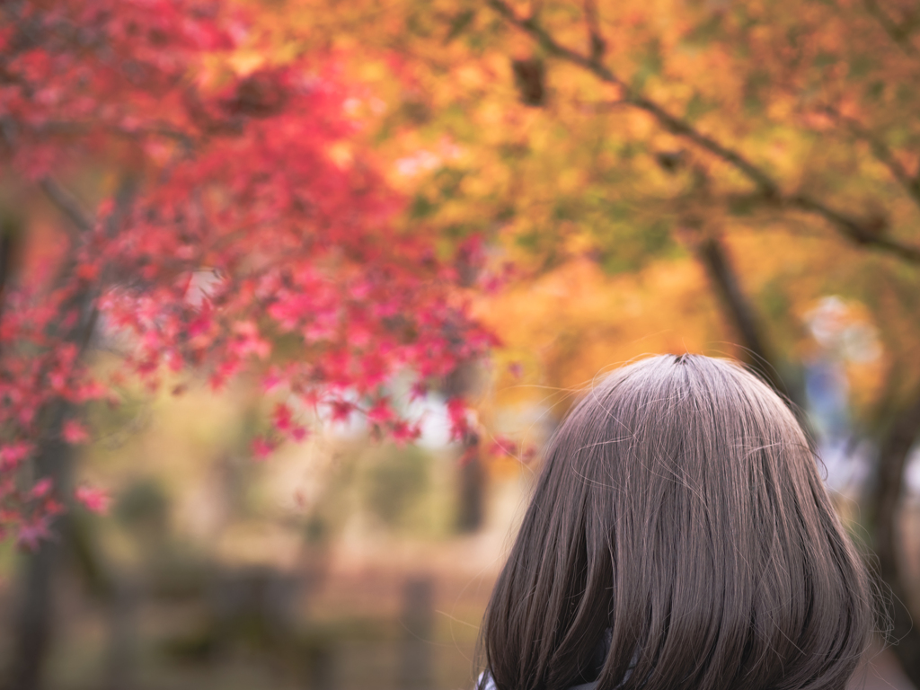 紅葉ボブ