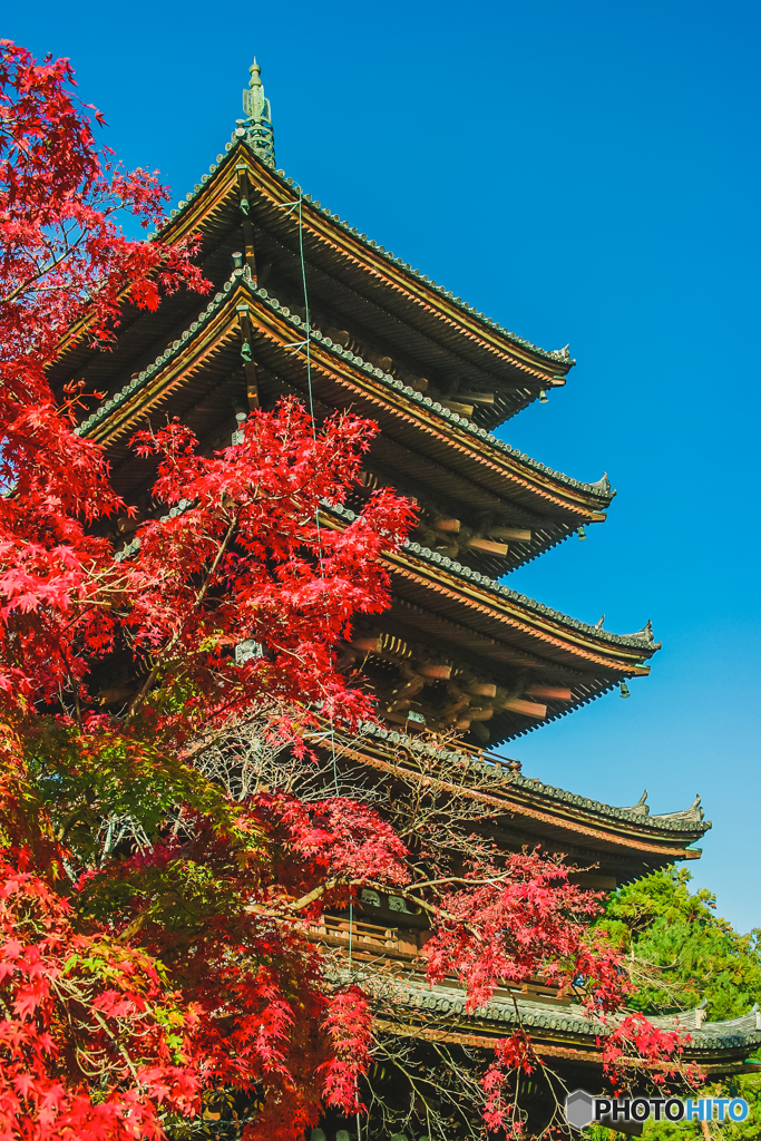 紅葉と塔