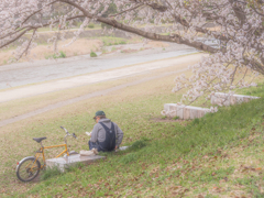 後ろ姿がかわいいおじさん
