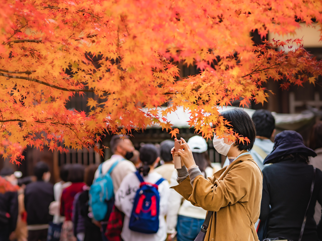 紅葉を撮る人
