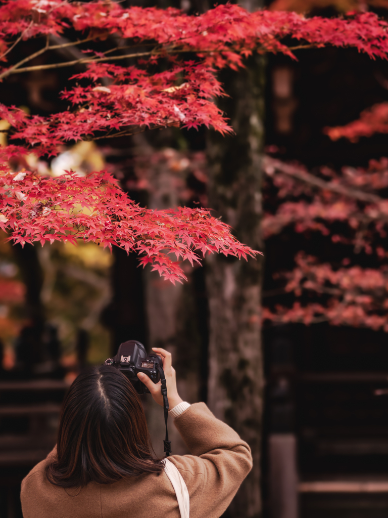 紅葉をパシャリ