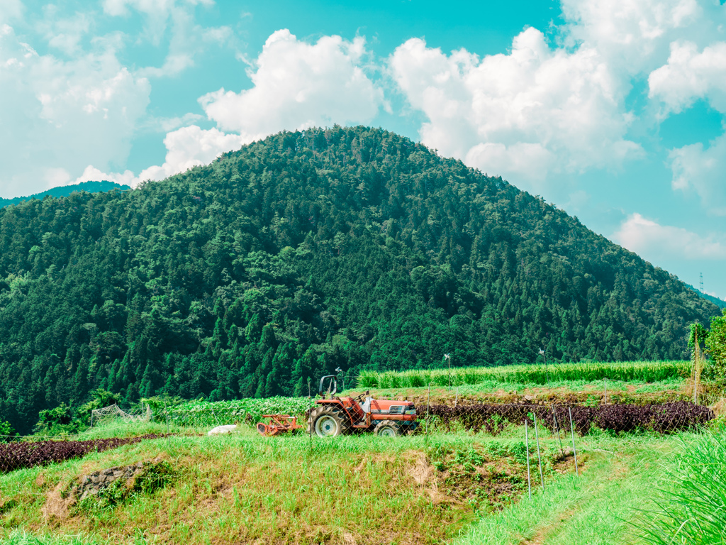 里山の風景