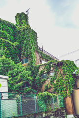 貯水槽まで覆われてる