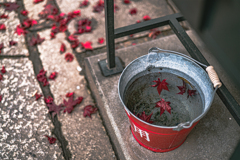 秋はもう終わりましたと紅葉が囁く