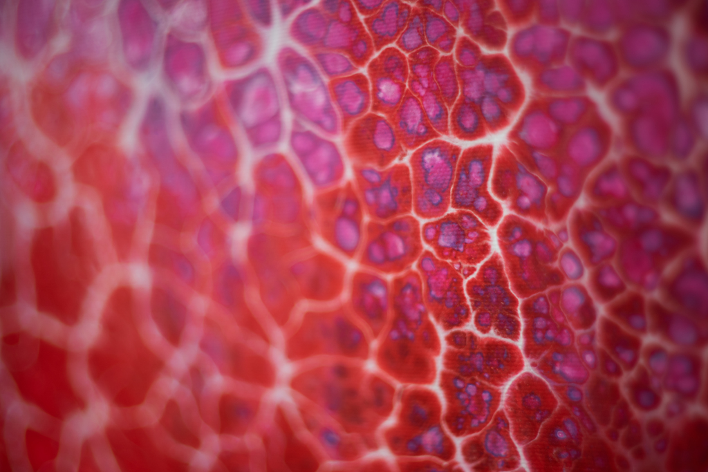 京都市京セラ美術館 現展 ④