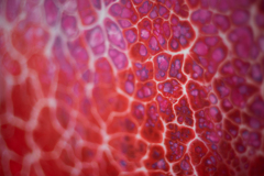 京都市京セラ美術館 現展 ④