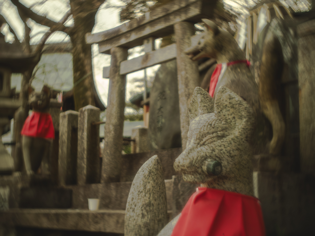 お稲荷さんの狐さん