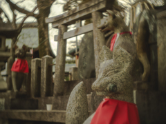 お稲荷さんの狐さん