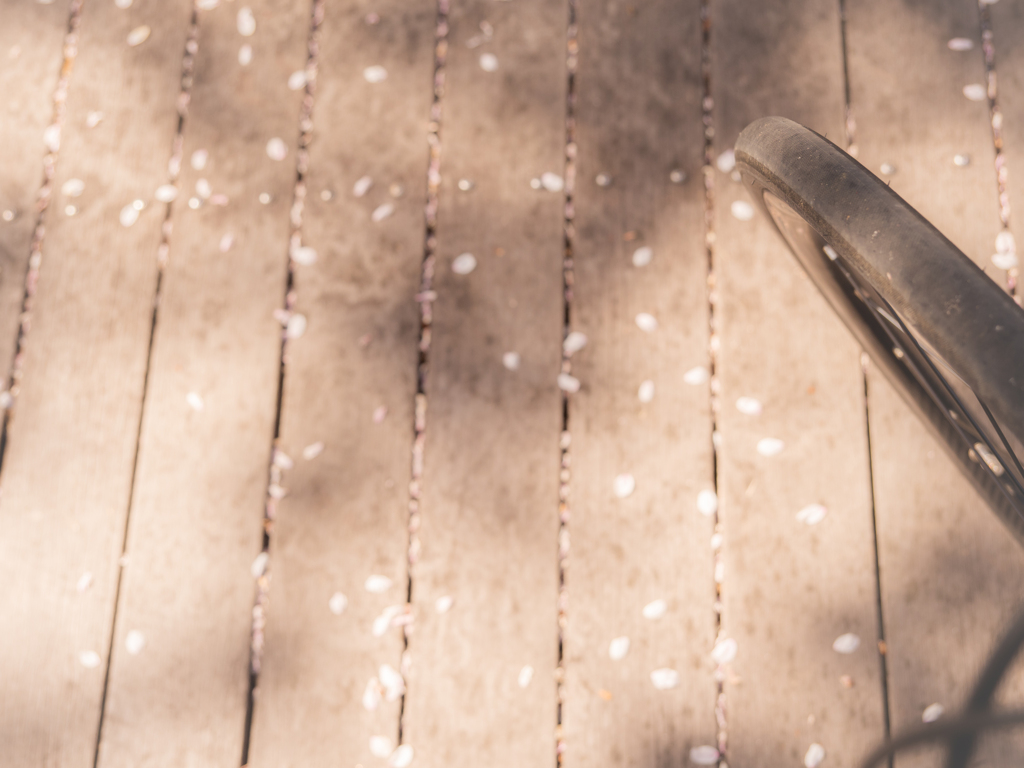 今日もサイクリングフォトグラフィ