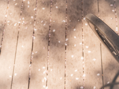 今日もサイクリングフォトグラフィ