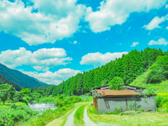 里山の風景　３