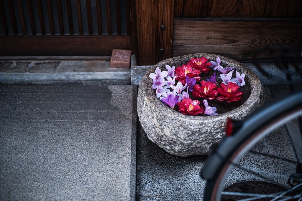 手水鉢に花を浮かべて