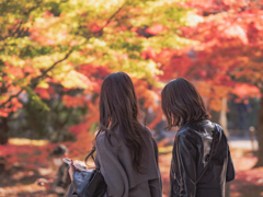 南禅寺の紅葉とおねいさん