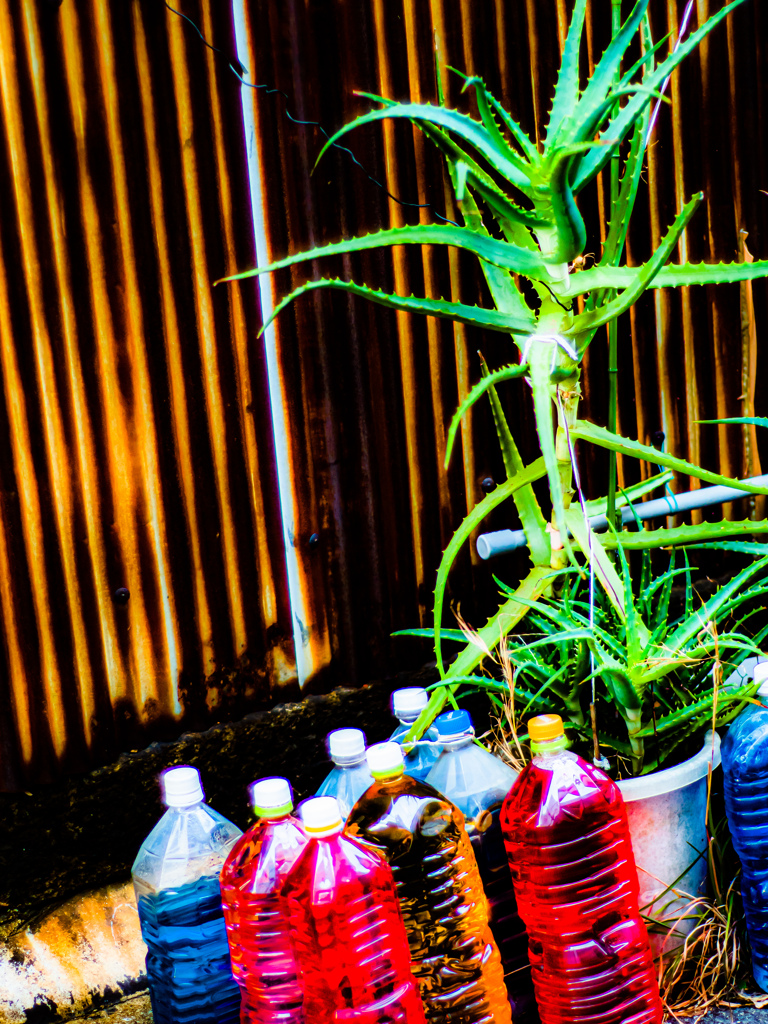 明けましておめでとうございます。本年も宜しくお願いします。