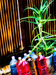 明けましておめでとうございます。本年も宜しくお願いします。