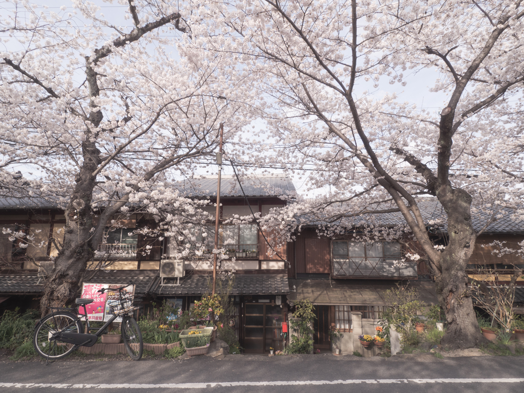 この辺のお家に民泊した〜い