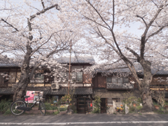 この辺のお家に民泊した〜い