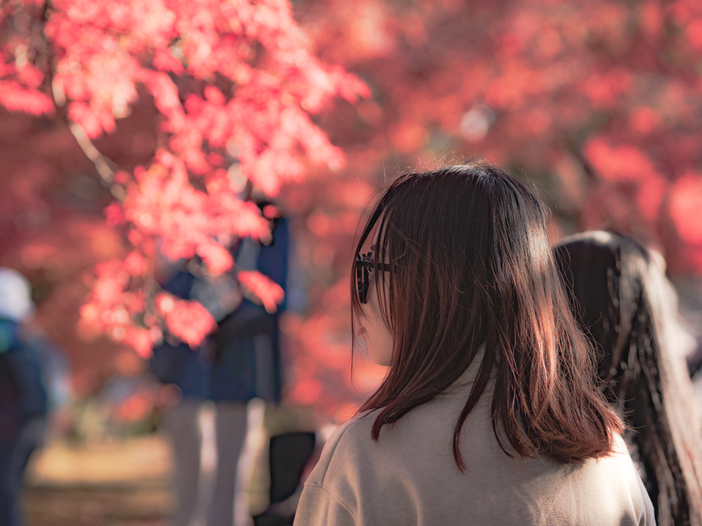 紅葉とグラサンおねいさん