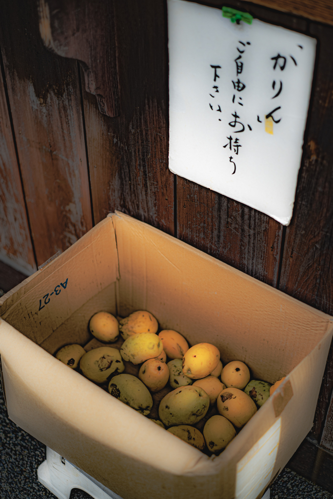 かりんの食べ方はのど飴しか知らへん