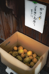 かりんの食べ方はのど飴しか知らへん