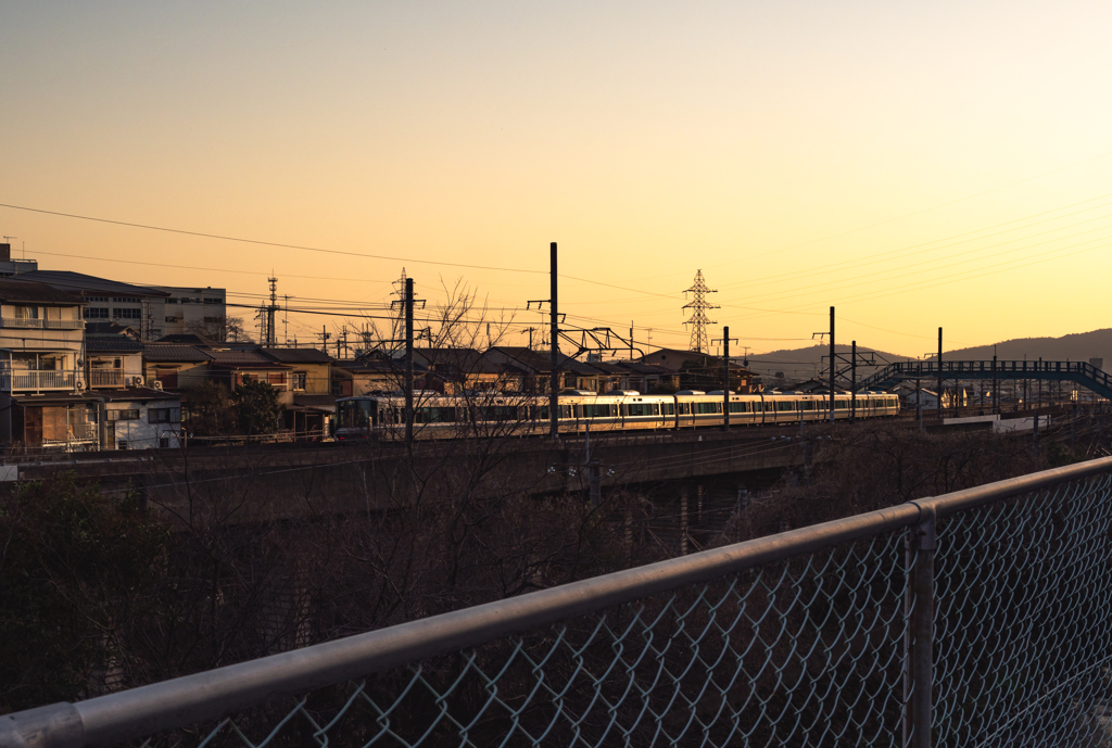 夕陽が電車を照らしとる