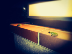 友達できて良かったね♪