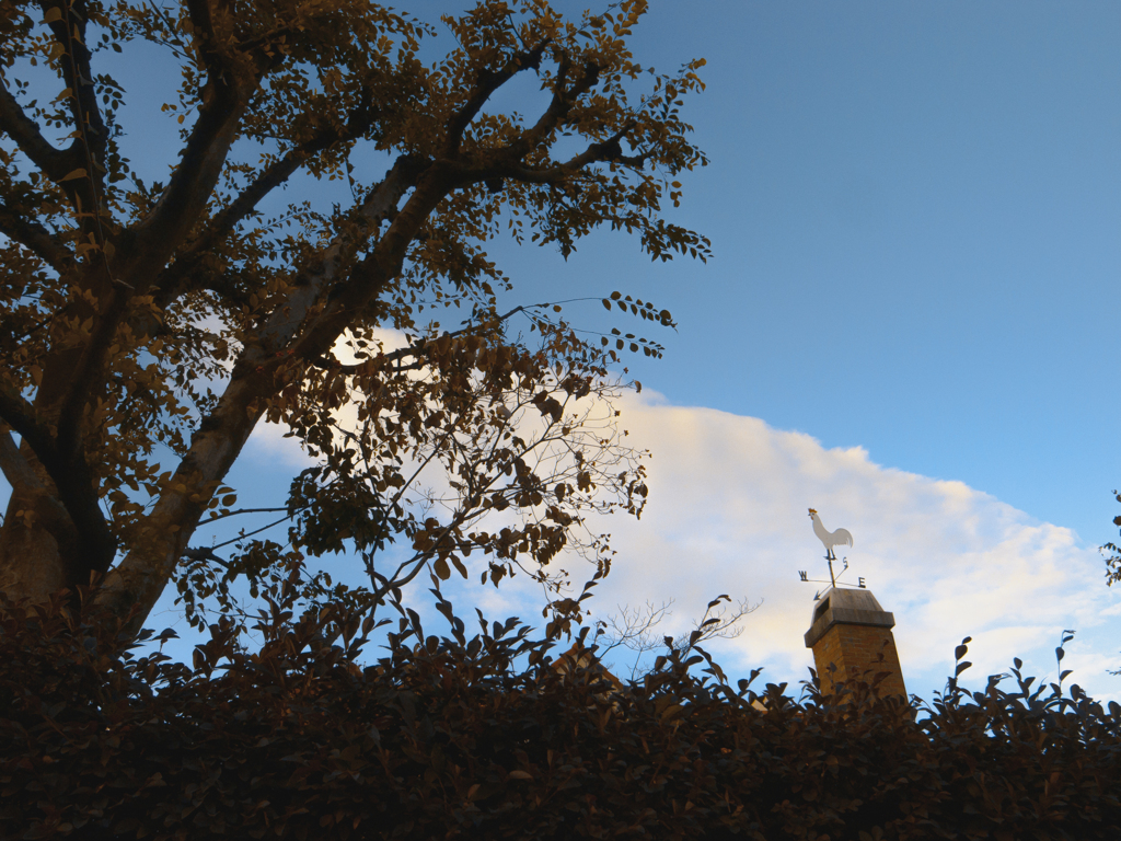 生け垣の緑の向こうに風見鶏