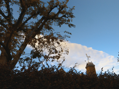 生け垣の緑の向こうに風見鶏