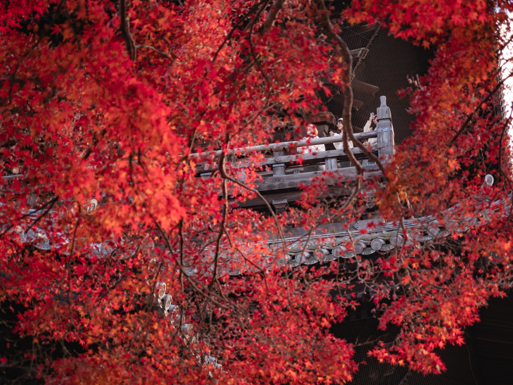 南禅寺の山門と紅葉