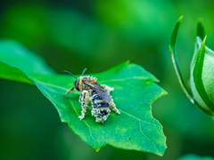 こんな感じで帰ります・・・
