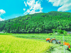 里山の風景　２