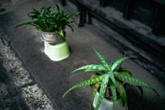 風呂椅子アルミ鉢植