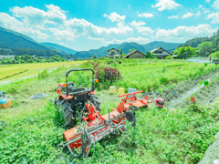 里山の風景　１