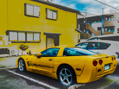 ほったらかしのコルベット