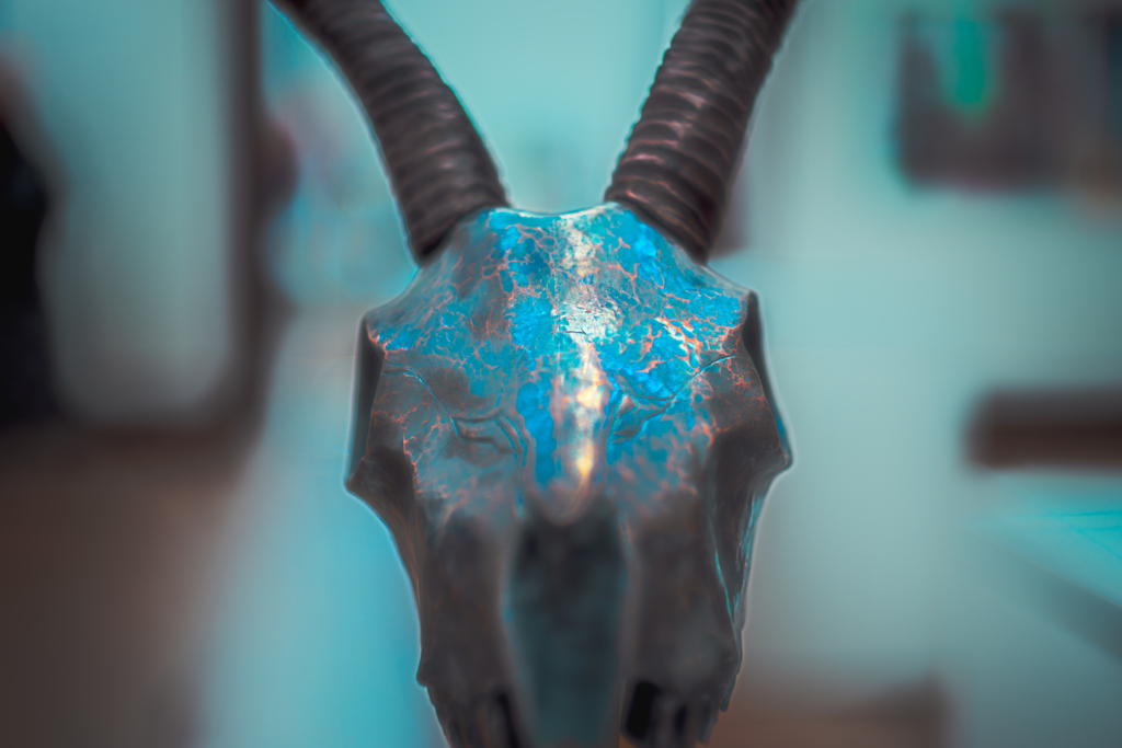 山羊？の頭蓋骨のアート作品