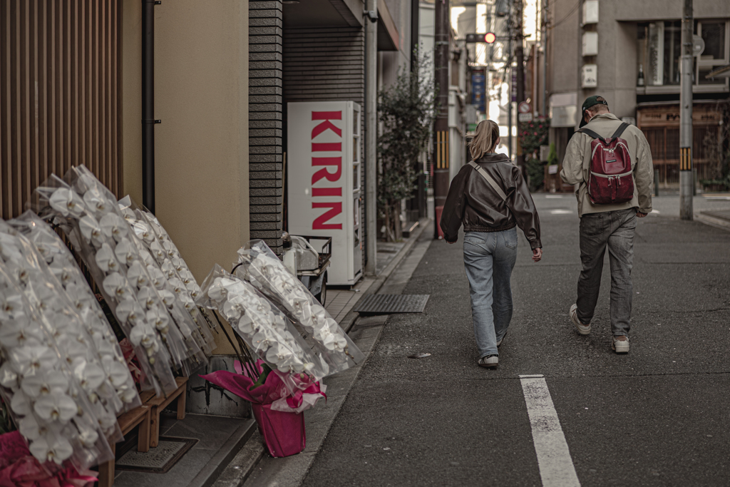 胡蝶蘭は興味なし
