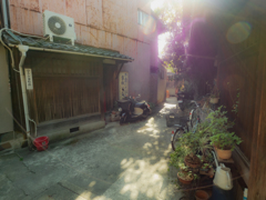 路地を照らす木漏れ日
