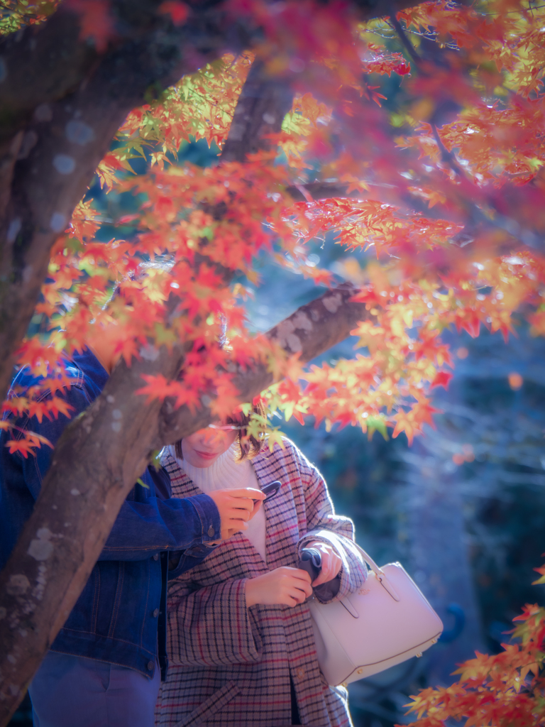 ちゃんと撮れてる？