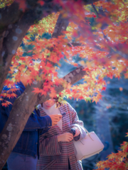 ちゃんと撮れてる？