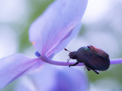 ちょっとこっちに用事が・・・