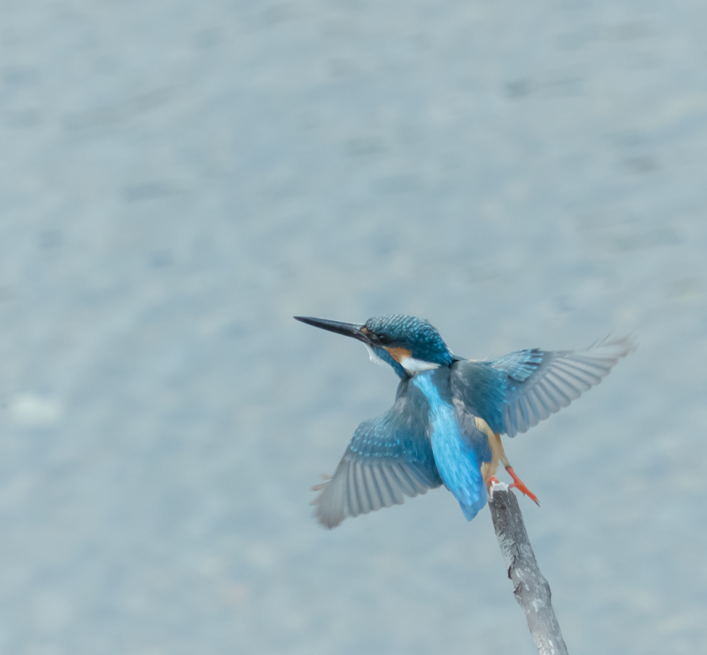 バイバイ、また遊ぼうね。
