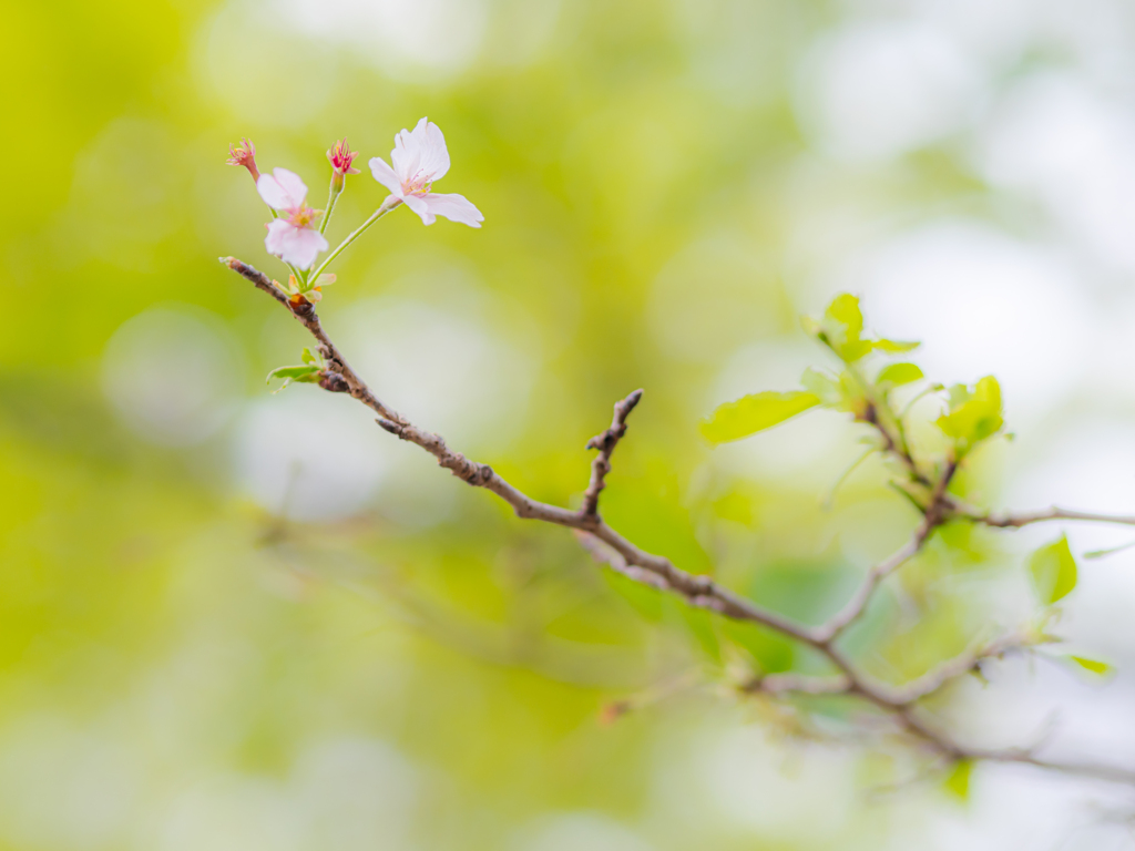 僕を待っててくれたんだね