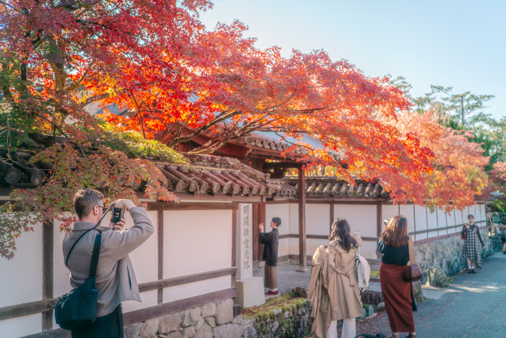 紅葉撮ってるハンサム白人