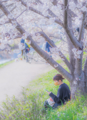 満開の桜の下で見るスマホ
