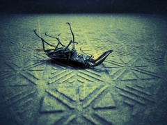 畳の上で死にたかった・・・