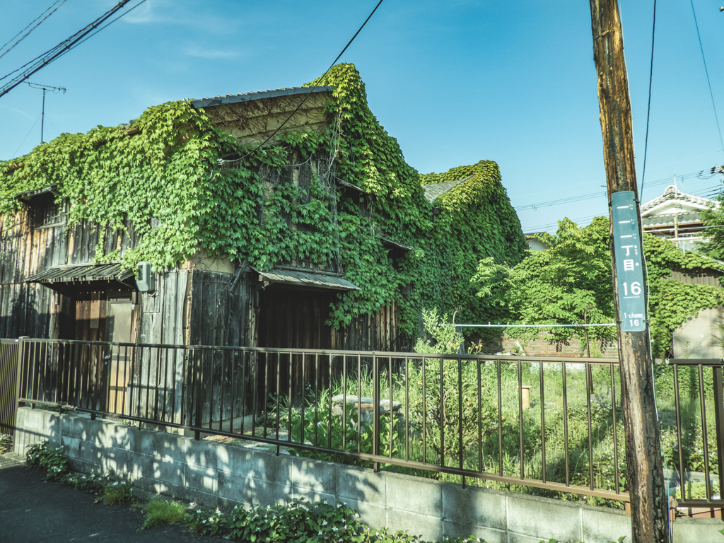 緑に飲み込まれていく家