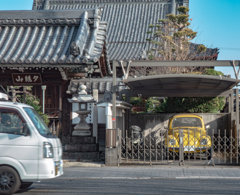 お寺のビートルからし色