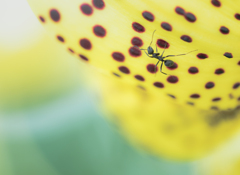 ボルダリングが趣味やねん