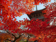 真如堂の紅葉と塔