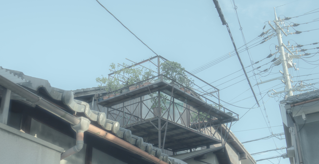 ベランダに植物